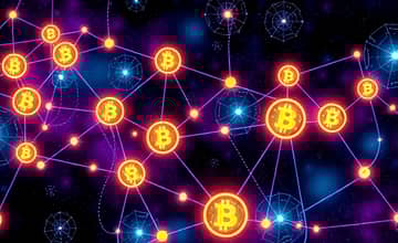 Cryptocurrency Clarity: Navigating Digital Assets